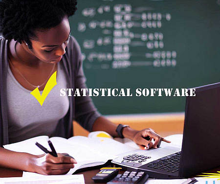 What to do with Statistical Software