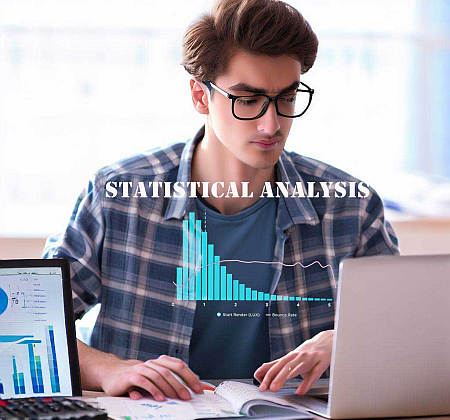 Statistical Software